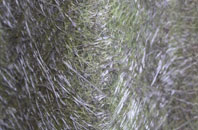 Stratton On The Fosse fibreglass roof work